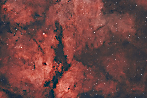 Gamma Cygni Nebula (IC 1318)